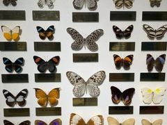 -上海昆虫博物馆