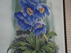 -四川大学博物馆