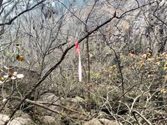 -太和山风景区