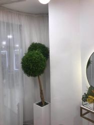 点击看大图 -八佰伴8008星级形象店