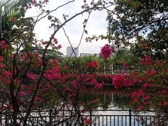 -深圳龙潭公园