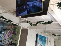 -BlueBubble蓝泡泡婴幼儿游泳会所(合川路店)