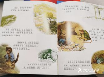 非常棒的绘本《彼得免的故事》