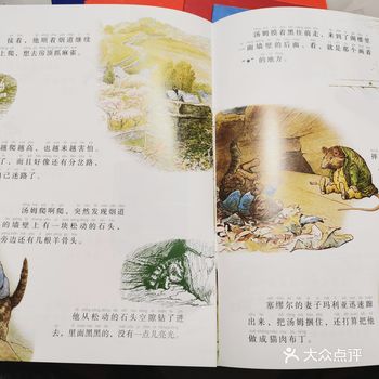 非常棒的绘本《彼得免的故事》