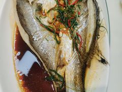 -日日香卤鹅饭店·澄海狮头鹅(澄海店)