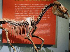 -齐齐哈尔市博物馆