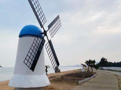 -渡海小渔村.老辈日照菜