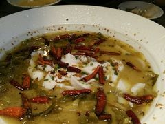 -九毛九西北菜(大东海店)