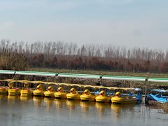 -黄海国家森林公园