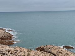 -广东惠东海龟国家级自然保护区