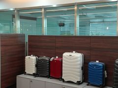 -奔驰利星行(北京花乡店)