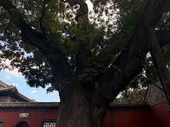 -晋祠博物馆