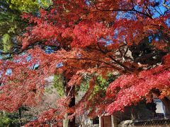 -青岛崂山太清宫