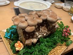 -湯系·煲汤手艺人(东二环泰禾广场店)