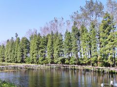 -宾湖农庄·农场特色(太湖龙之梦店)