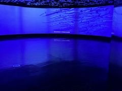 -同济大学四平路校区深海探索馆