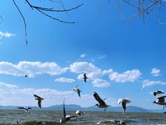 -捞渔河湿地公园
