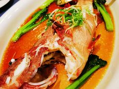 -顺峰(南二环店)