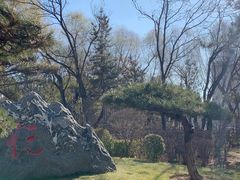 -迎泽公园