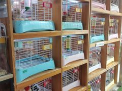 -宠物兔专门店(天丰利市场店)