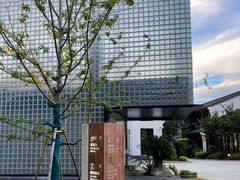 -雅达·阳羡溪山小镇中心