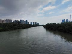 -大亚湾红树林城市湿地公园