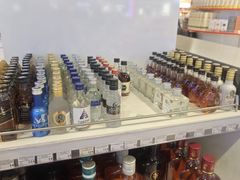 -谢列梅捷沃国际机场