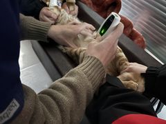 -伟伟宠物医院·CT影像中心·瑞派犬猫综合性门诊(汉口总院)