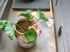 -单家老院·院子里的青岛菜(沙子口店)