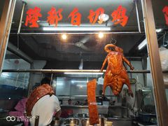 -隆都四季香饭店(碧海路店)