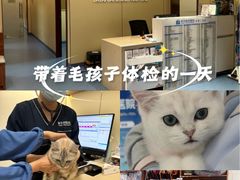 -泰洋动物医院·神经专科·磁共振·CT(天河公园总院)