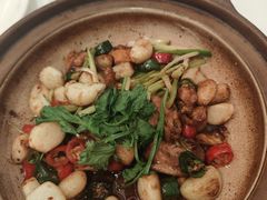 -粤珍轩·家宴·广式茶点(新城广场店)