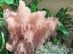 -春暖花开(西溪店)