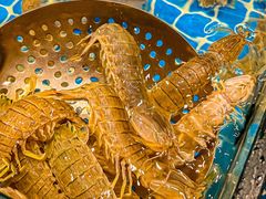 -木柴豆腐·活海鲜·鲁菜(岚山路店)