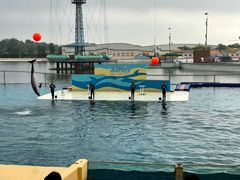 -秦皇岛乐岛海洋王国