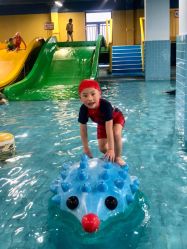 点击看大图 -宝燕乐园(闵行旗舰店)