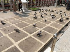 -云石寺