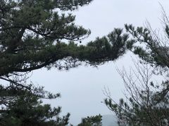 -天姥山