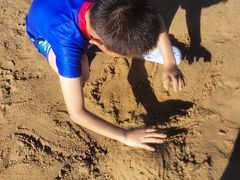 -碧海金沙