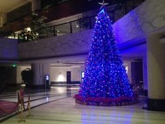 大堂-大连富丽华大酒店