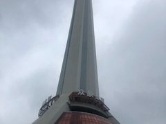-339旋转餐厅(天府熊猫塔店)