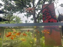 -钱王祠