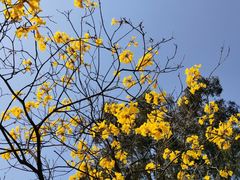 -华南国家植物园-售票处