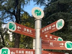 -昆明动物园