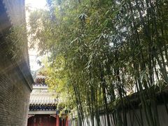 -罔极寺