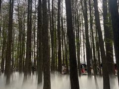 -东湖落雁景区