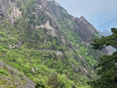 -高一点·徽味酥饼王·黄山烧饼