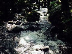 -德庆盘龙峡生态旅游区