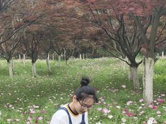 -云漫湖生态度假公园