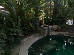 -碧桂园润杨溪谷温泉酒店